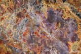 Colorful, Free-Standing Petrified Wood - Arizona #185090-1